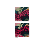 Flamboyance gallery detail image