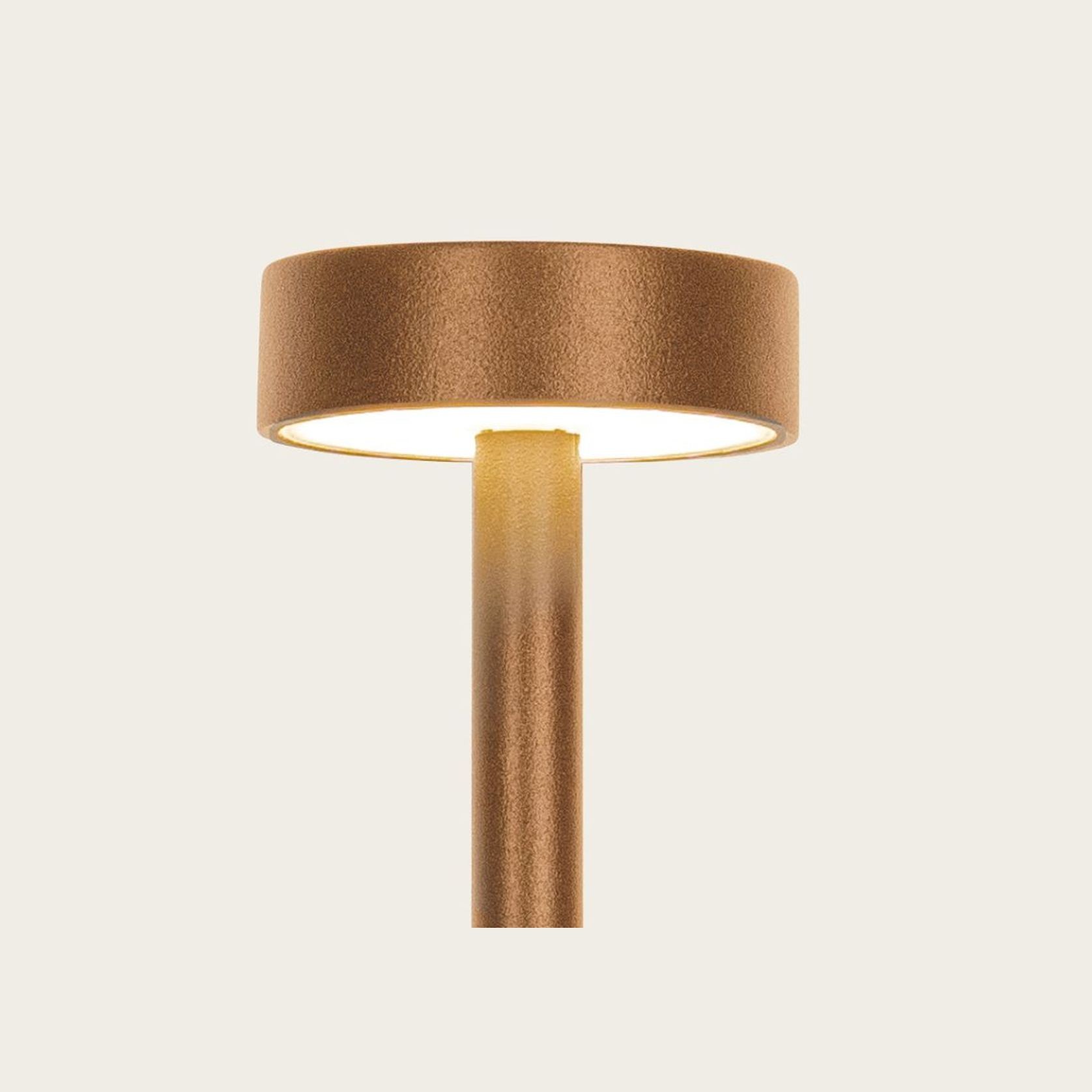 Xander IP65 Spike Light gallery detail image