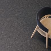Altro Illustra™ gallery detail image