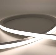 Cobra Snake Light gallery detail image