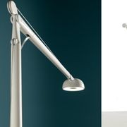 Opuntia Wall & Ceiling Lamp gallery detail image