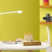 Opuntia Wall & Ceiling Lamp gallery detail image