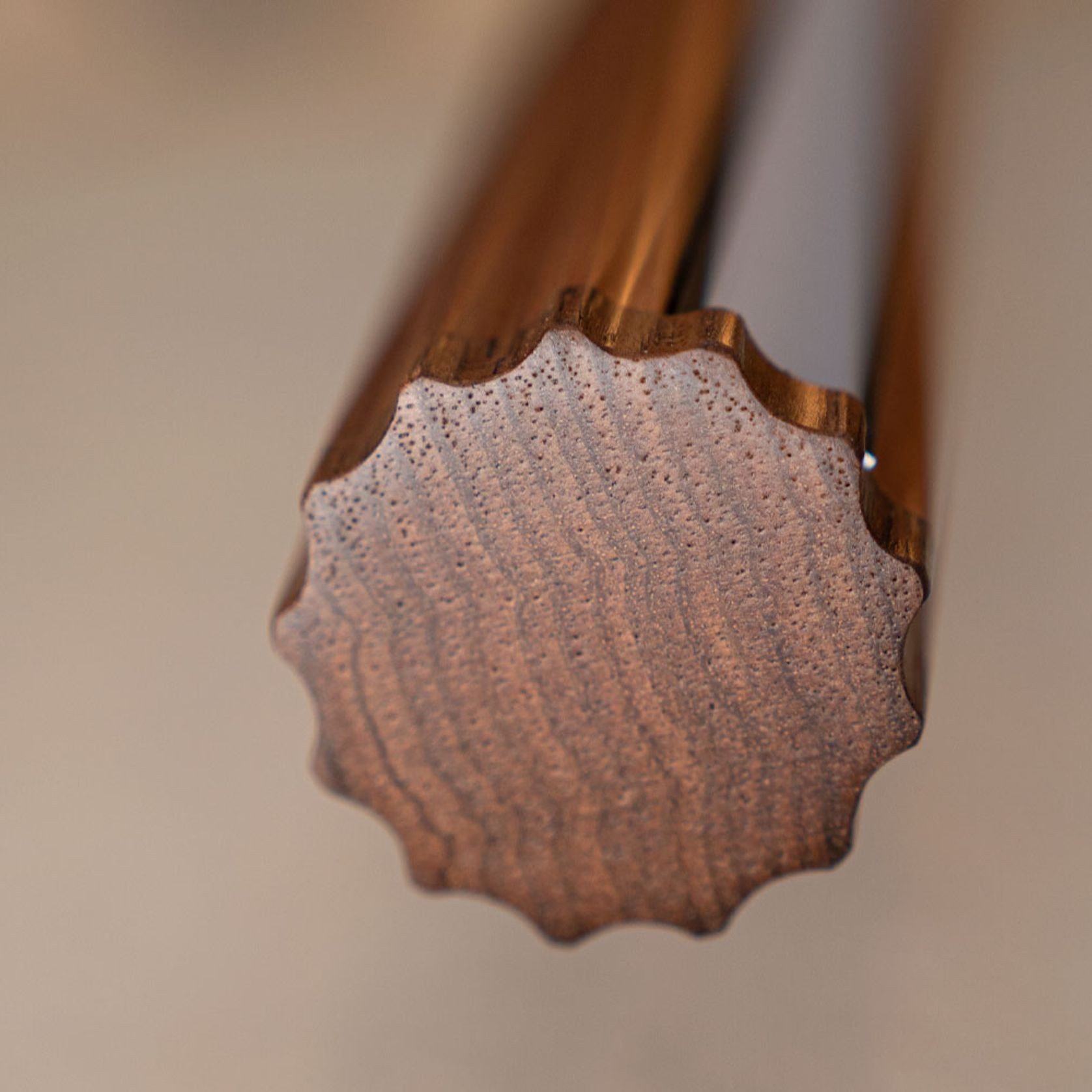 Fluted Roller Pendant | Tasmanian Blackwood gallery detail image