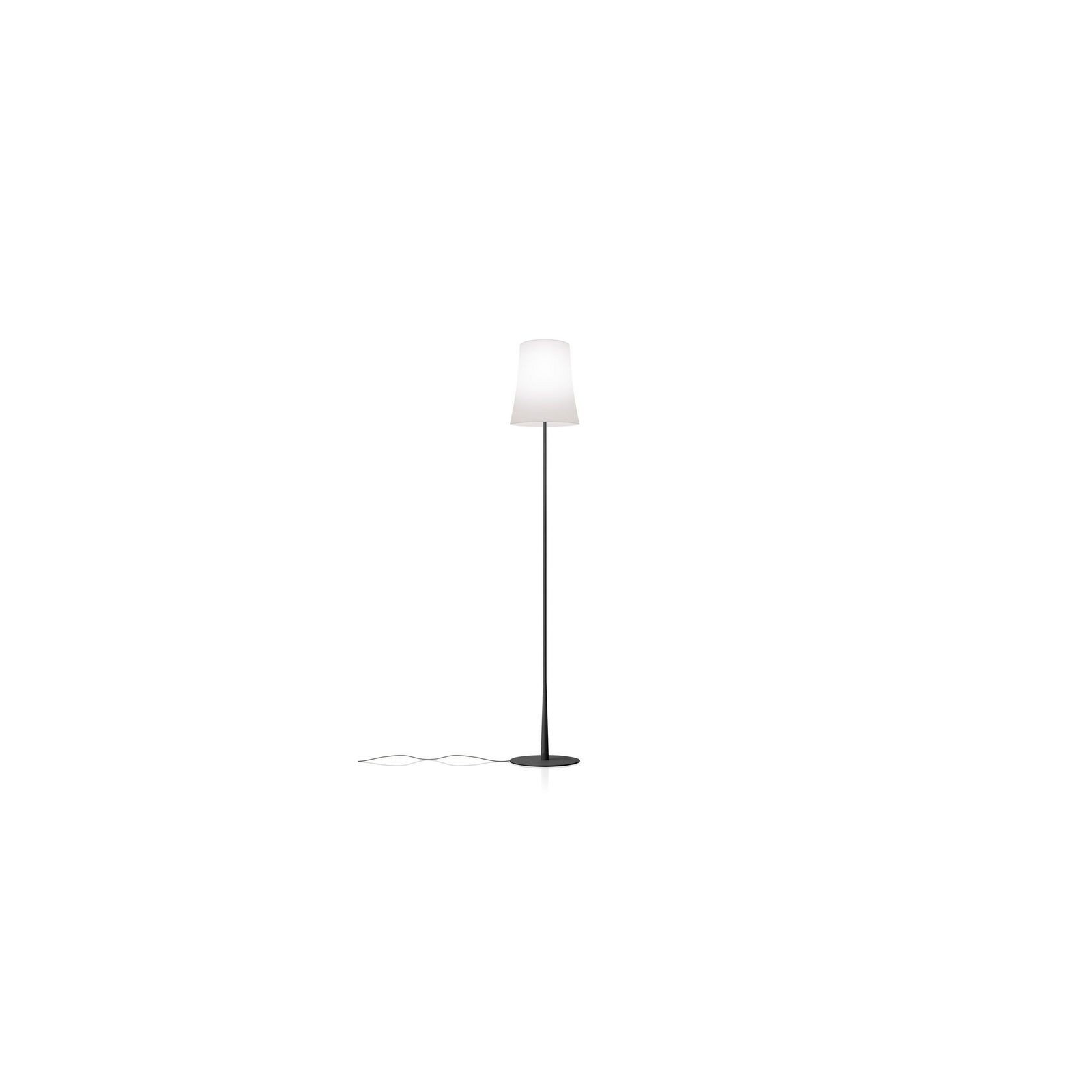 Birdie Easy Floor Lamp gallery detail image