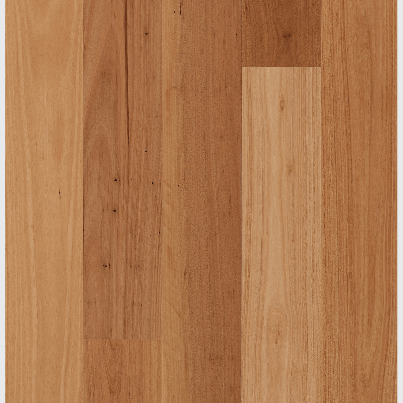 Blackbutt | Maison Engineered Flooring gallery detail image