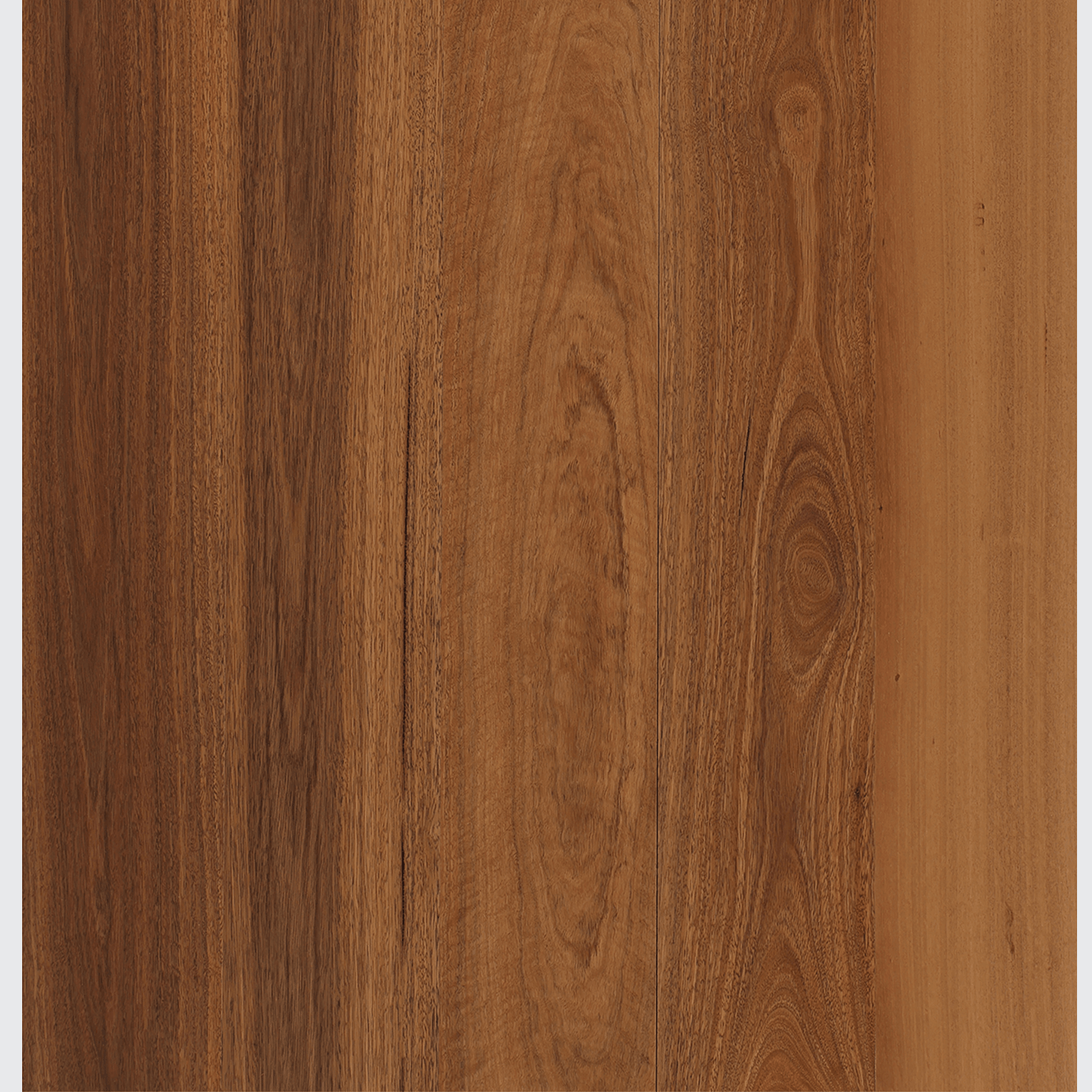 Spotted Gum | Maison Engineered Flooring gallery detail image