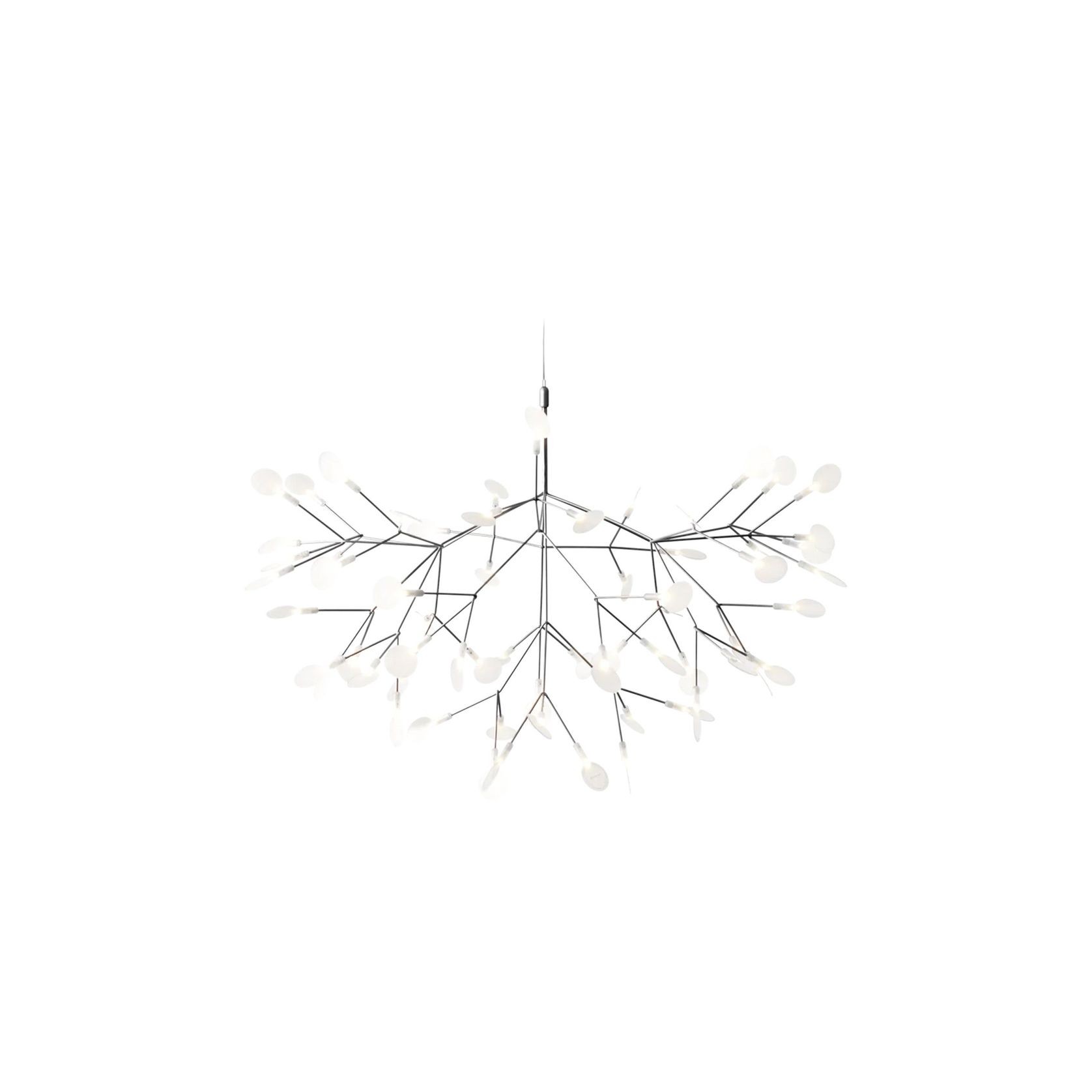 Heracleum III Large gallery detail image