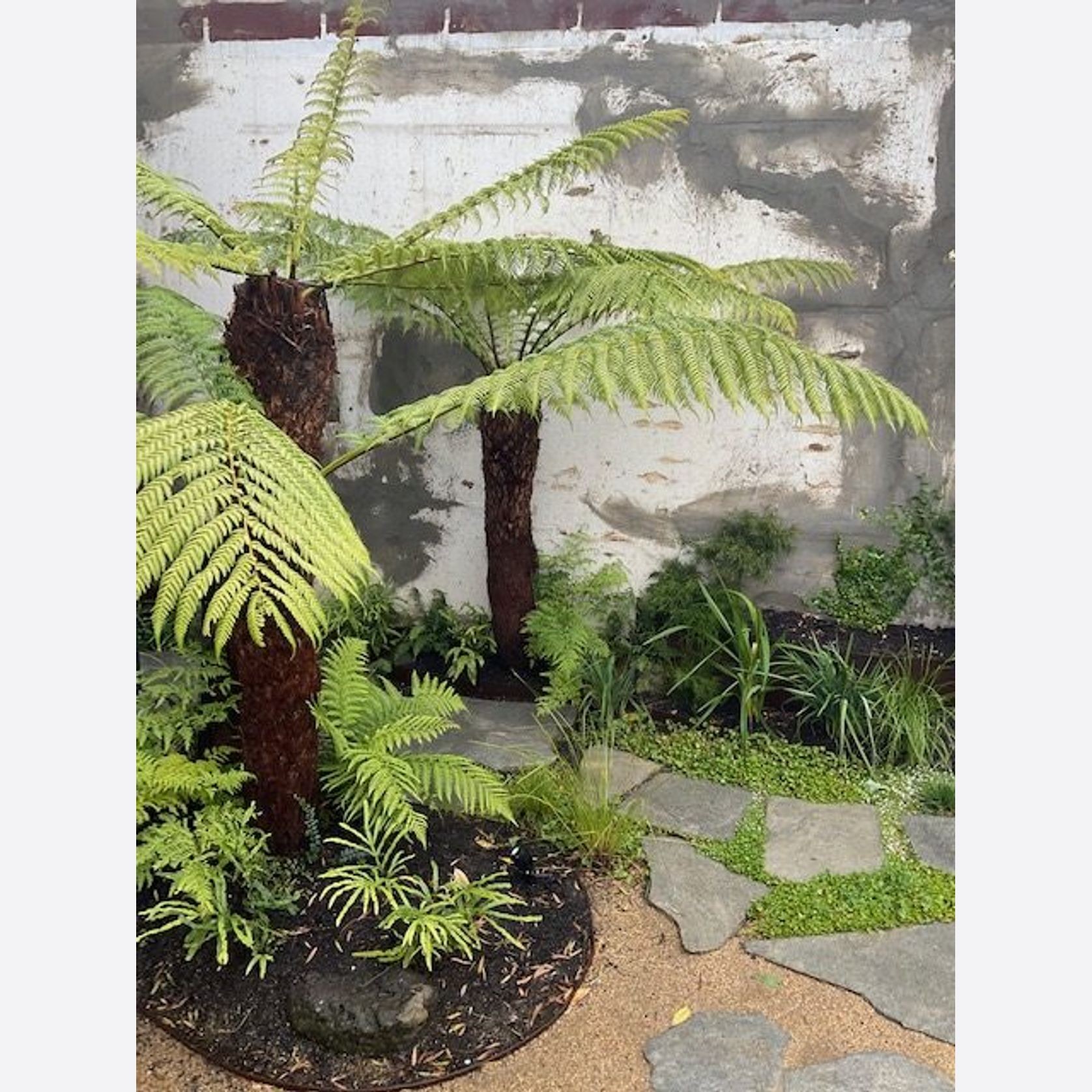 Loden Quartzite Crazy Paving gallery detail image