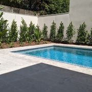 Maddison Tumbled Limestone Pool Coping gallery detail image