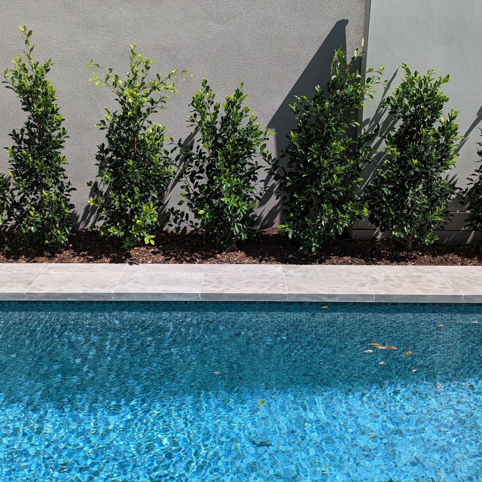Maddison Tumbled Limestone Pool Coping gallery detail image