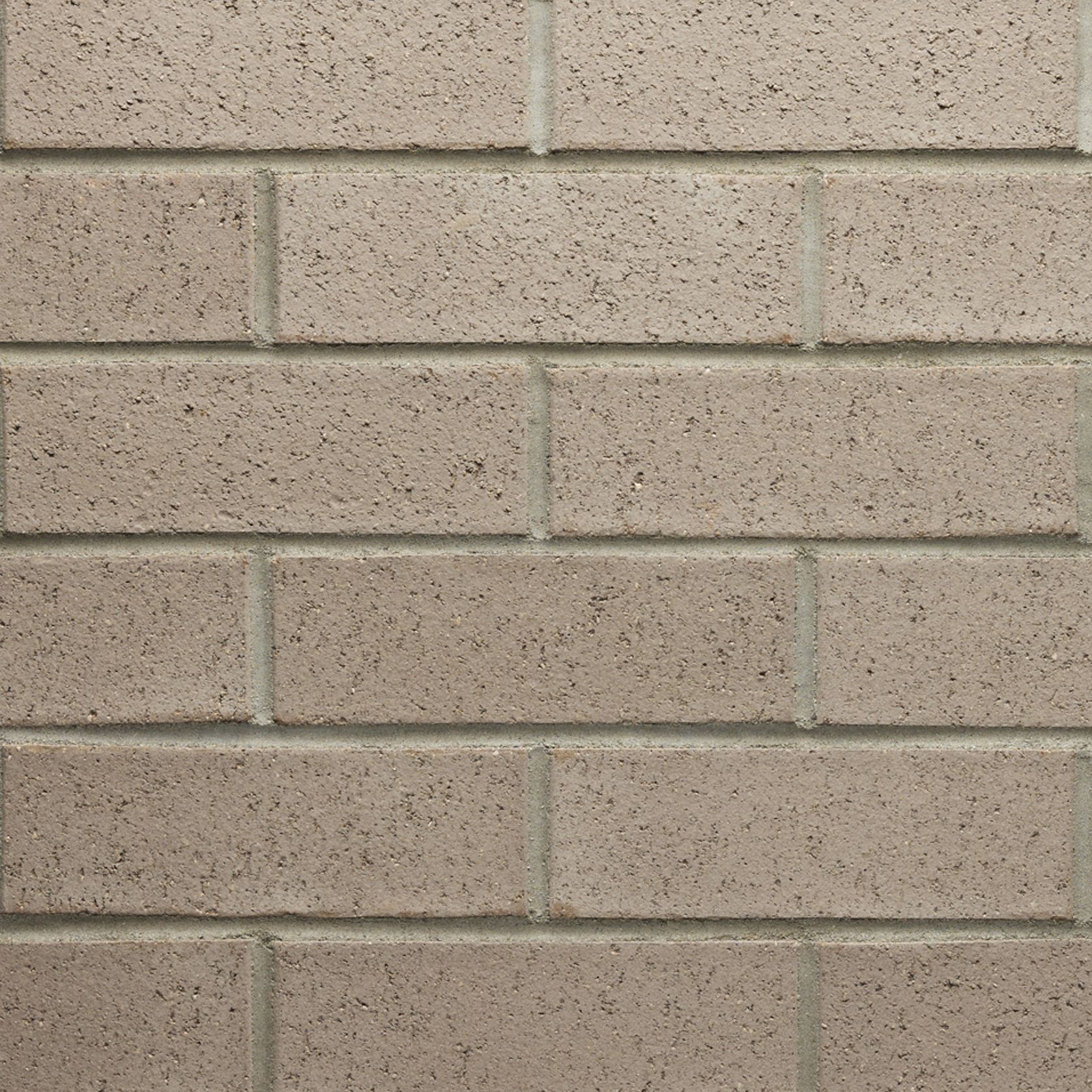 Silver Birch - Origin | Austral Bricks gallery detail image