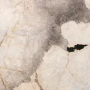 Patagonia Quartzite Benchtop gallery detail image