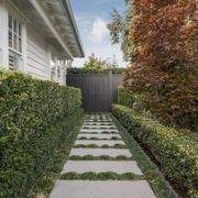 Premium Bluestone Tiles gallery detail image