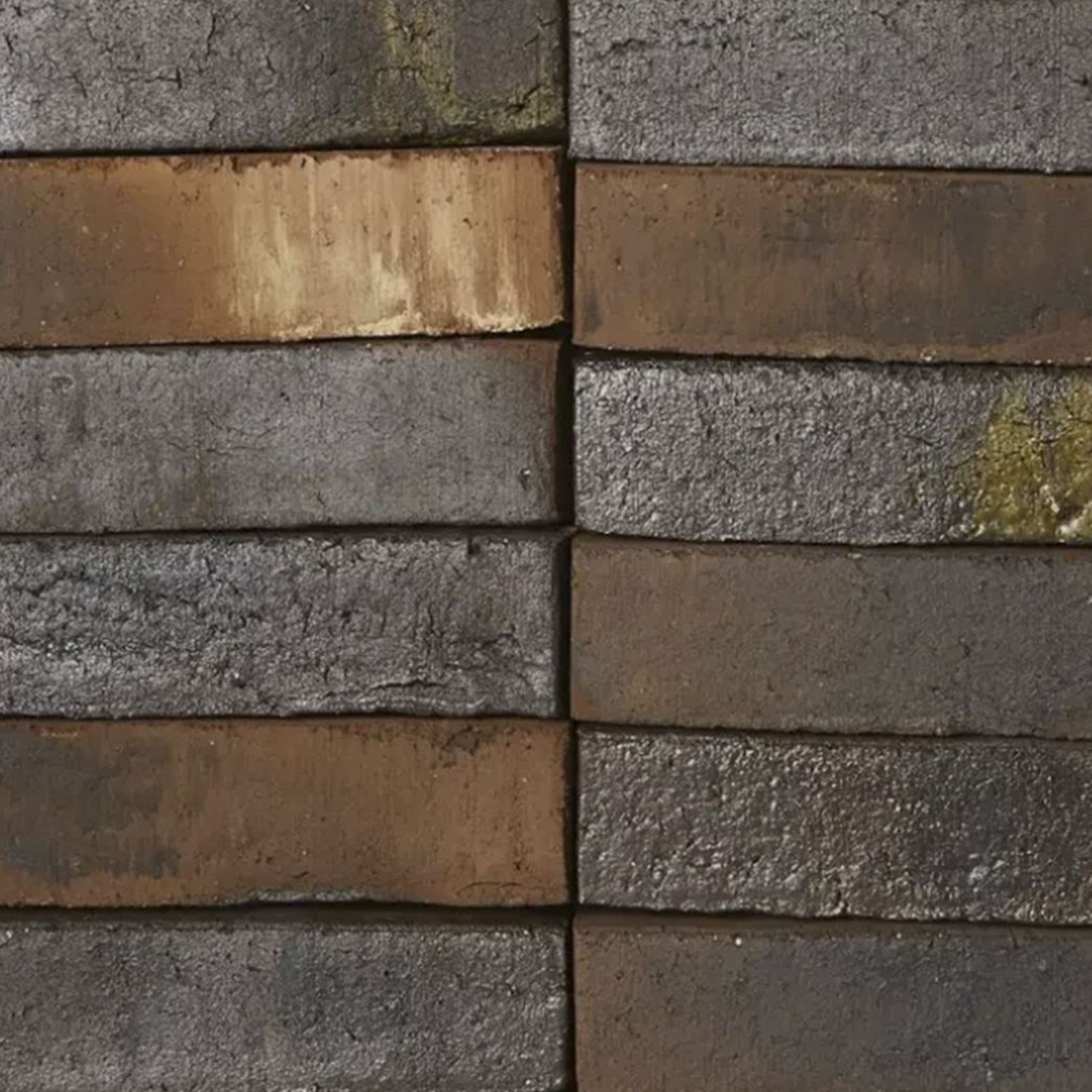 Willems Forest | Bricks gallery detail image