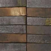 Willems Forest | Bricks gallery detail image