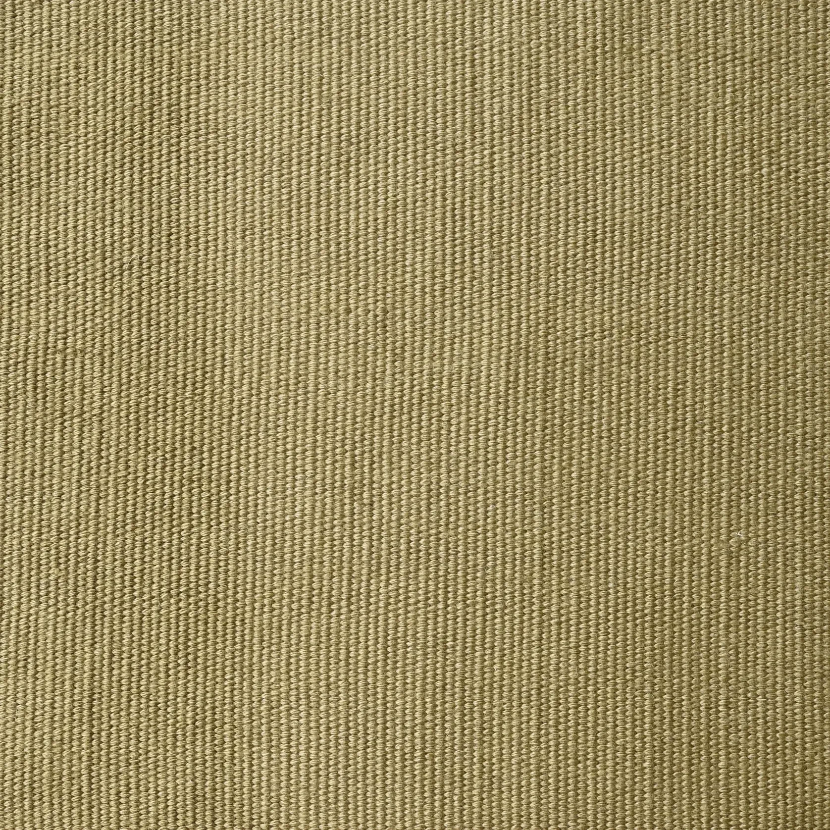 Mesa Outdoor Rug - Eucalyptus 200cm x 300cm gallery detail image