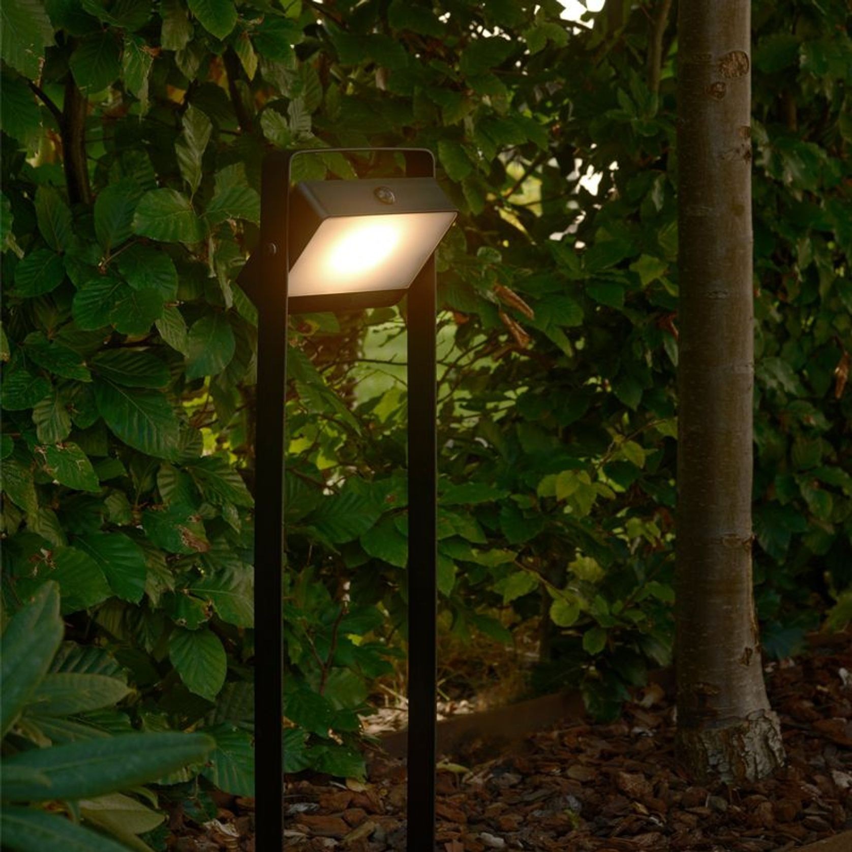 Saulio Solar Garden Spike Light gallery detail image