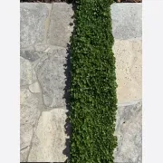 Silver Travertine Crazy Paving gallery detail image