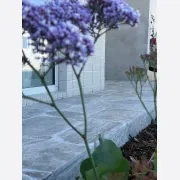 Silver Travertine Crazy Paving gallery detail image