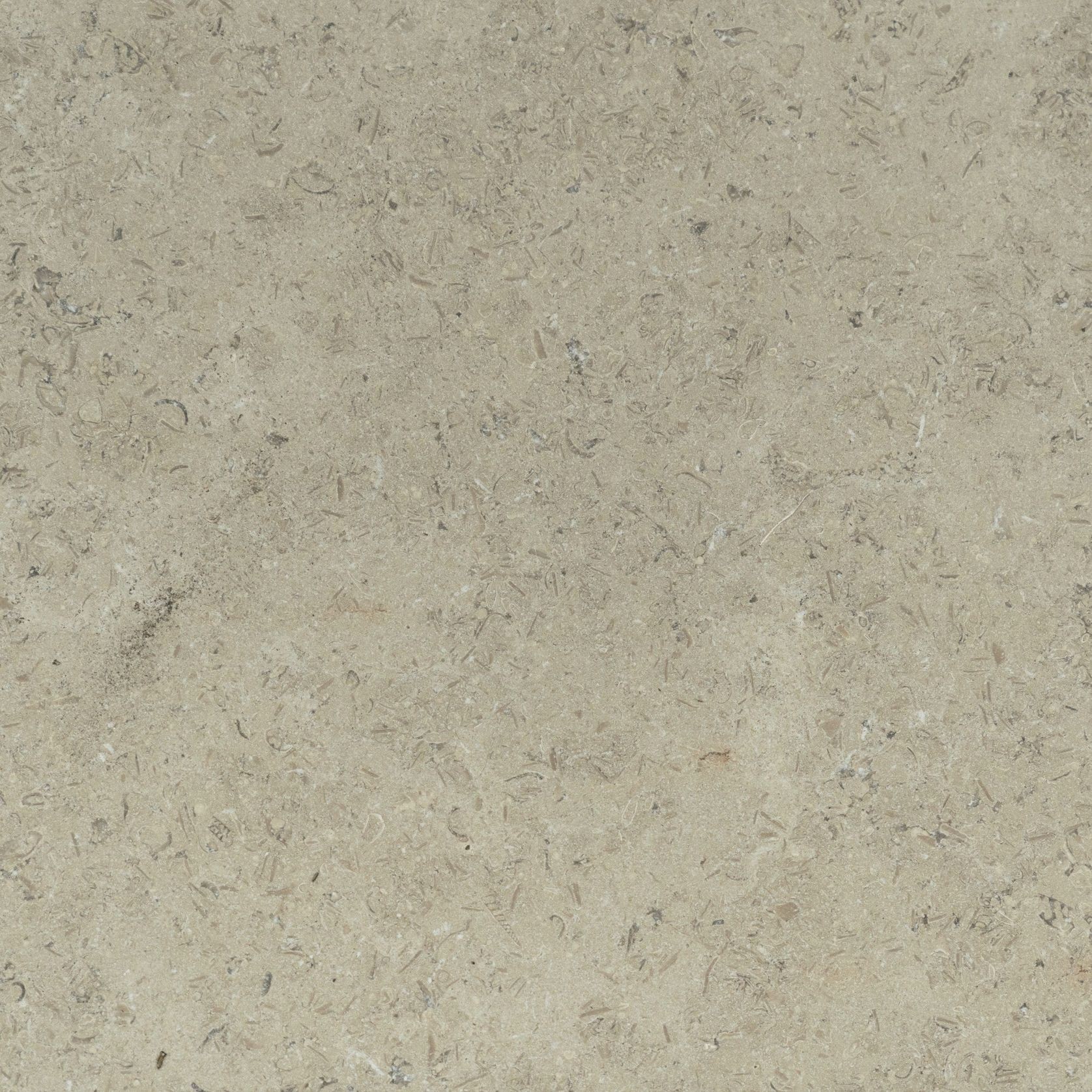 Sinai Pearl Brushed Limestone Pool Coping gallery detail image