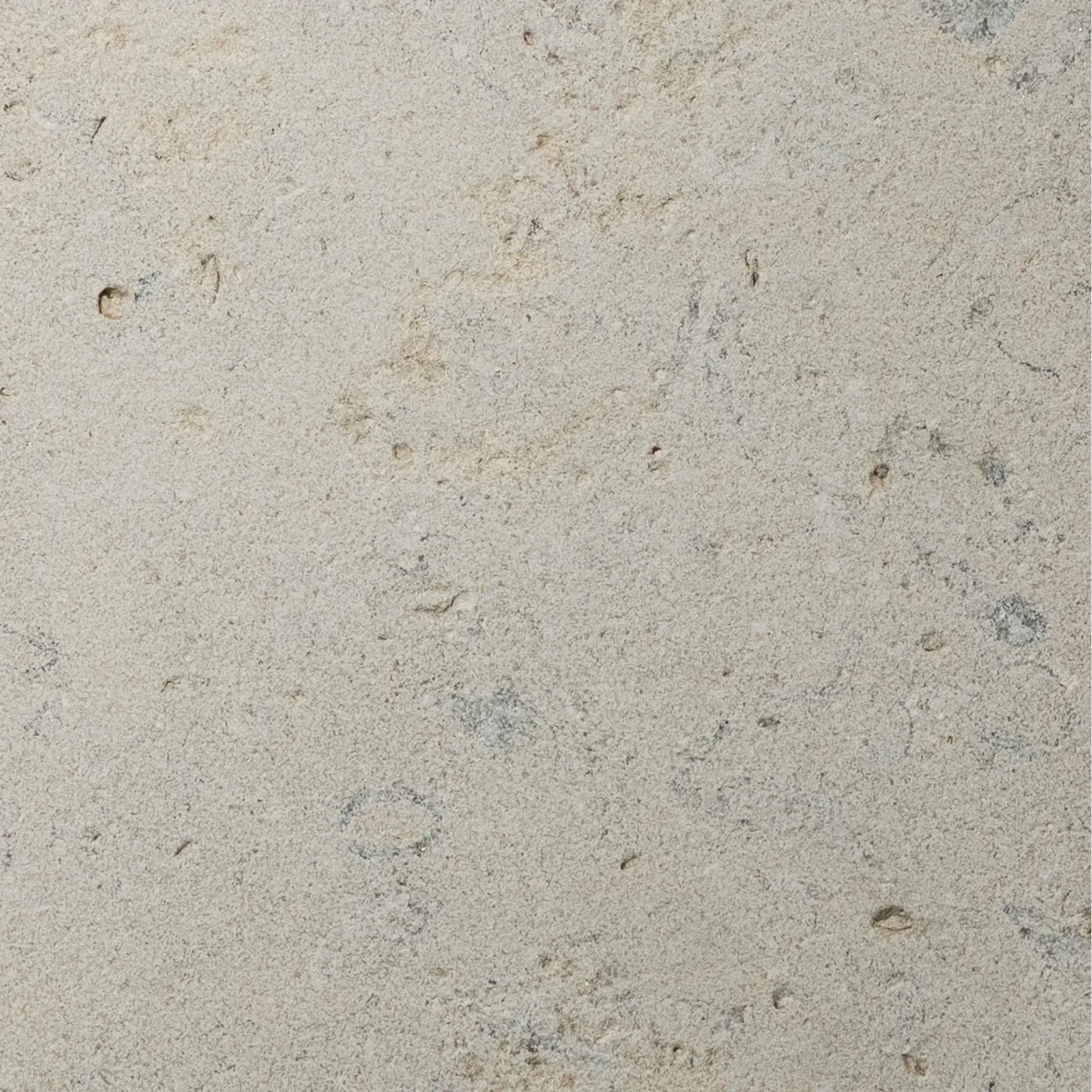 Sinai Pearl Sandblasted Limestone Porcelia gallery detail image