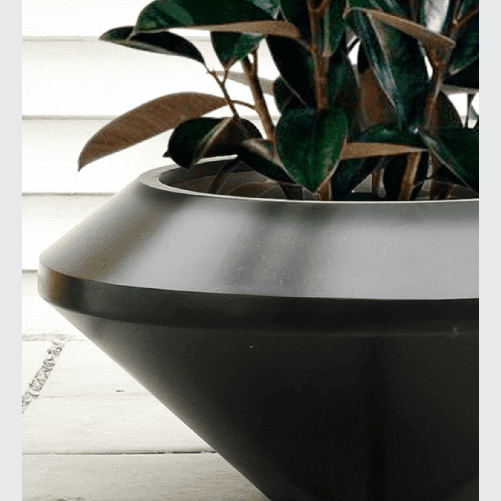 Saucer Planter gallery detail image