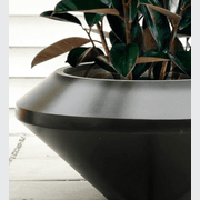 Saucer Planter gallery detail image