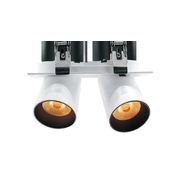 Twin Round Snoot Downlight 25W gallery detail image