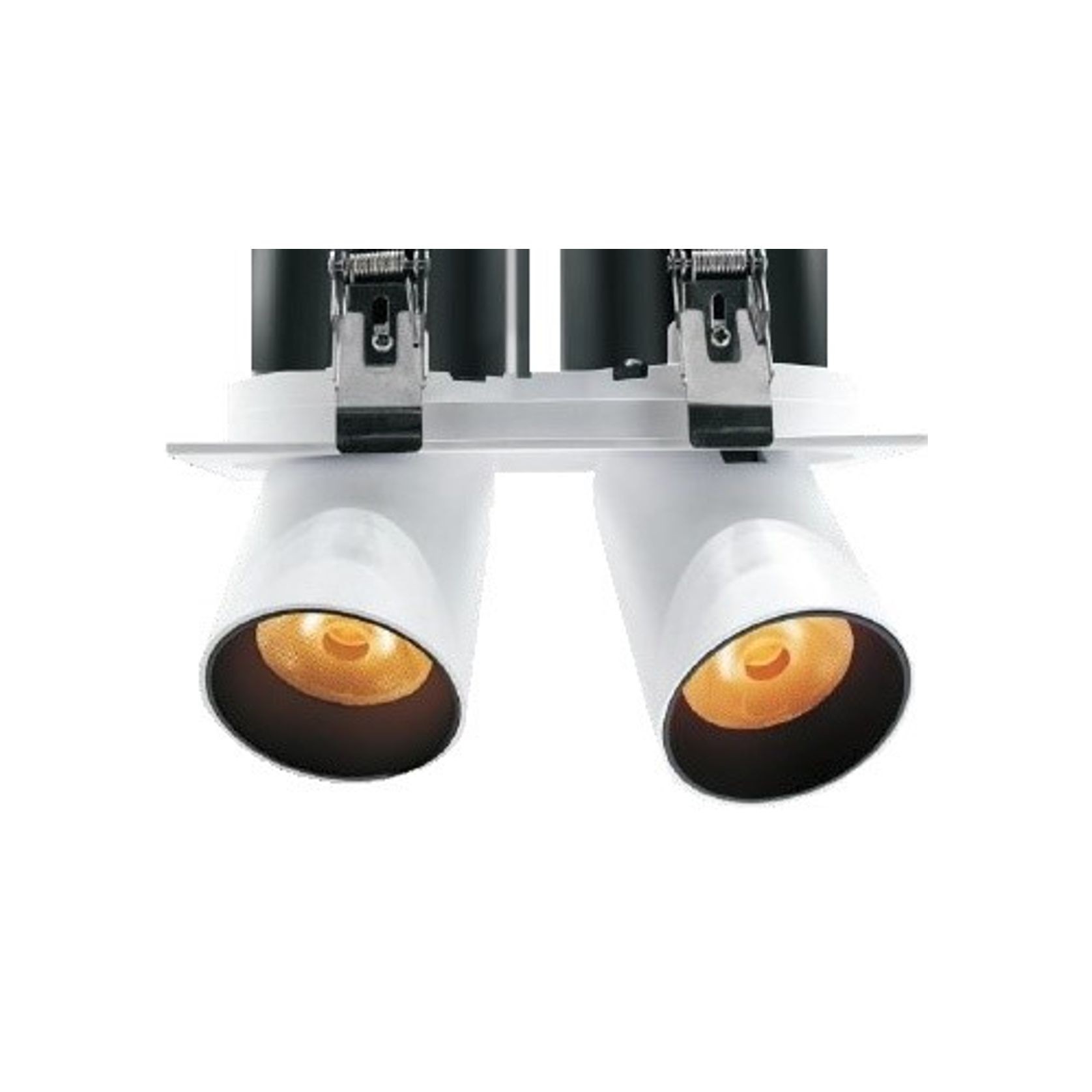 Twin Round Snoot Downlight 12W gallery detail image