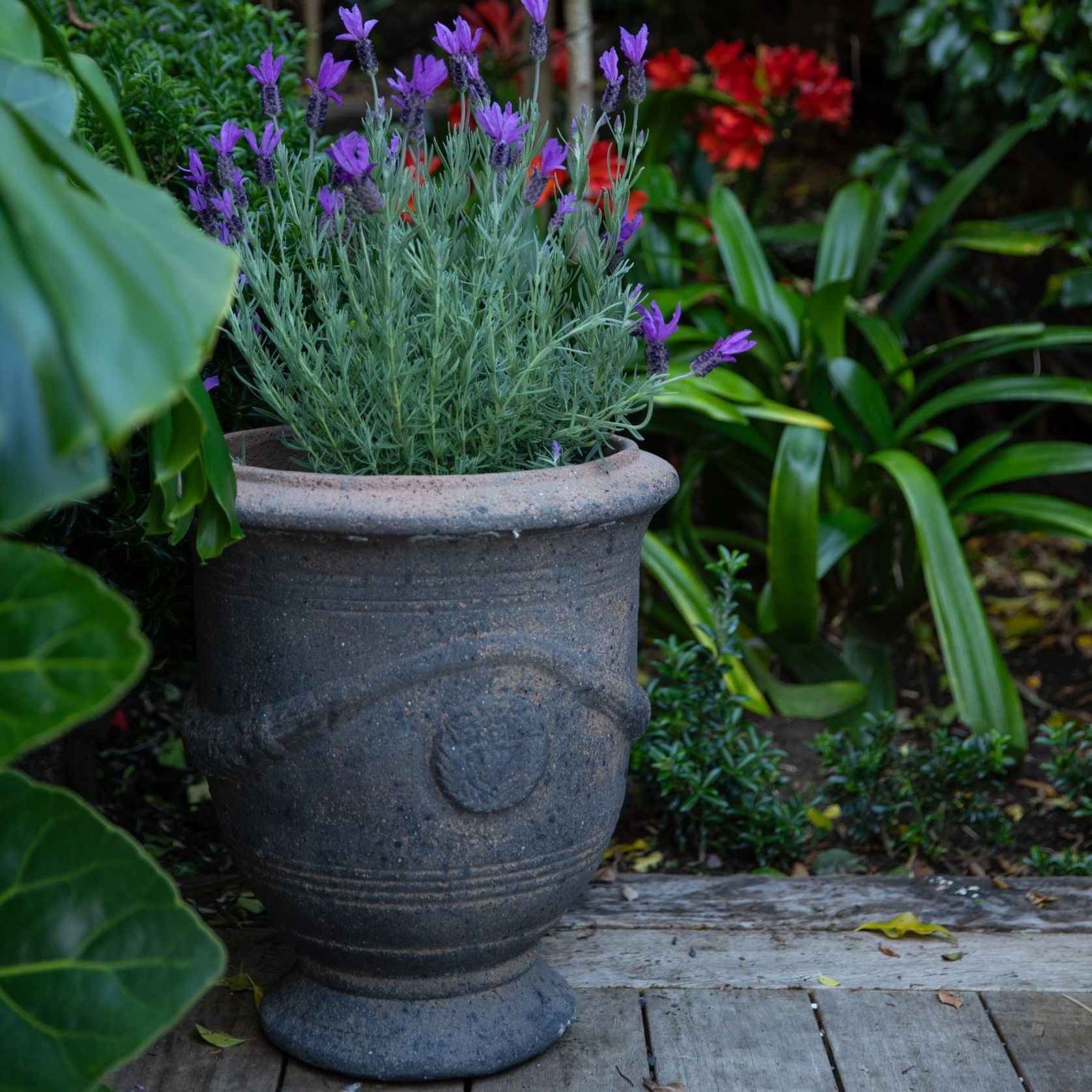 Old Stone - French Urn gallery detail image
