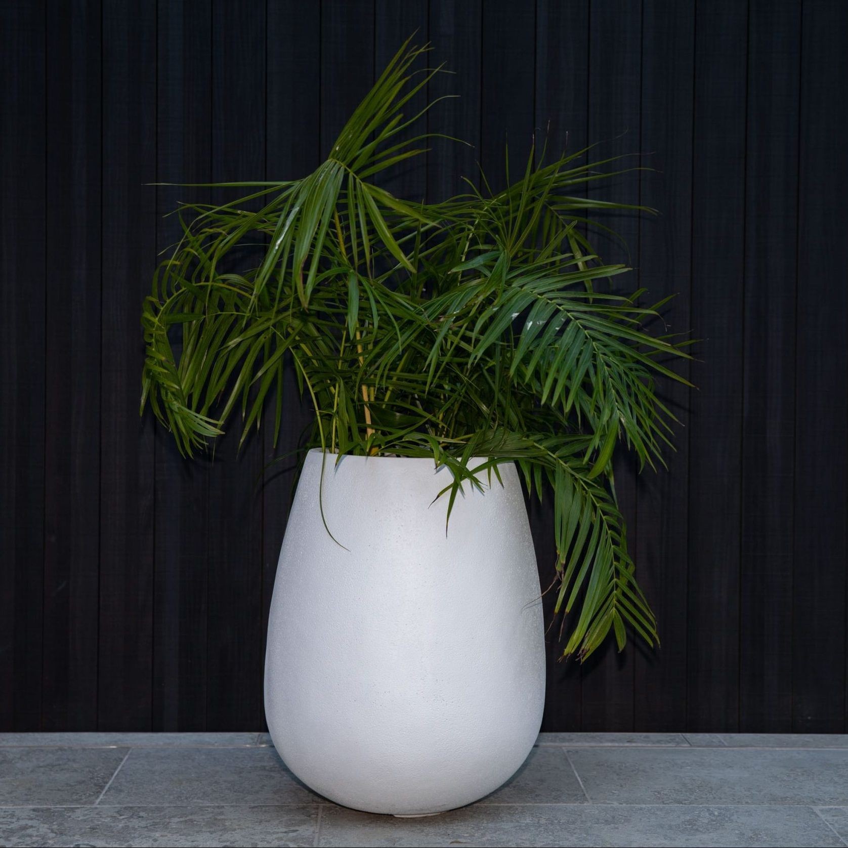 Franoma - Savona Planter gallery detail image