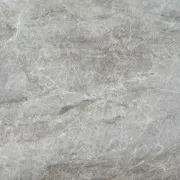 Taj Mahal Quartzite Benchtop gallery detail image