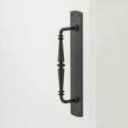 Iver Sarlat Door Pull Handle On Backplate - Available in Various Finishes gallery detail image