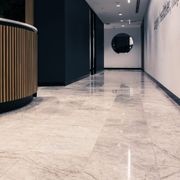 Tundra Light Honed Limestone Tiles gallery detail image