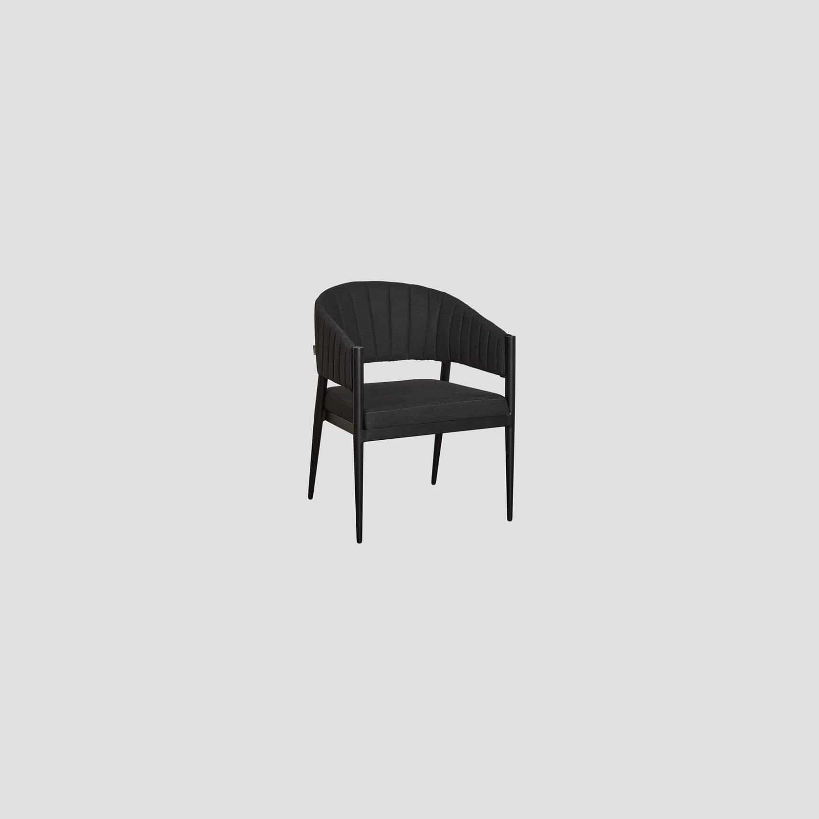 Takapuna Dining Chair gallery detail image