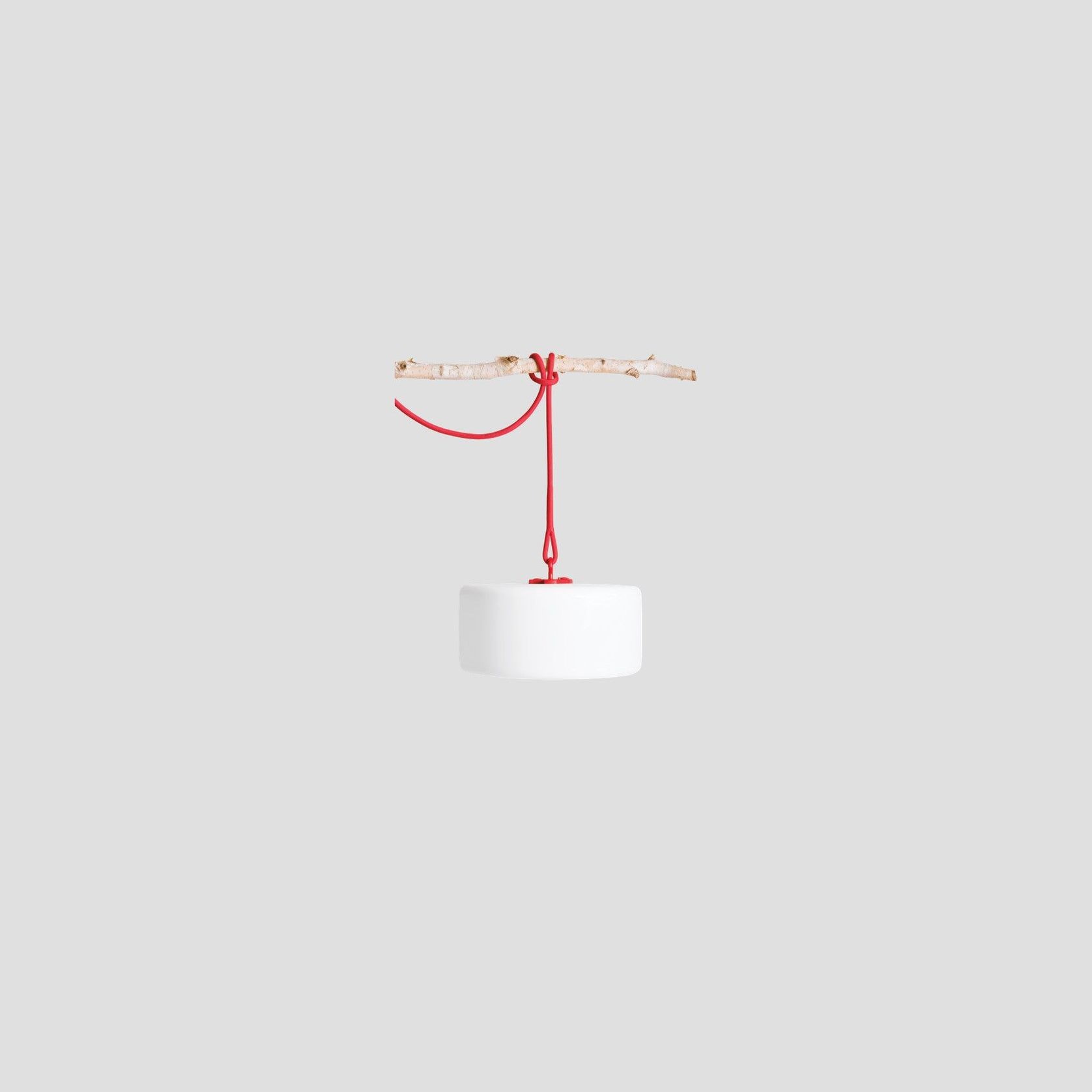 Thierry Le Swinger gallery detail image