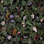 Tropics gallery detail image