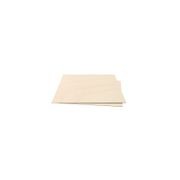 Birch Model Ply Panels - Plytech Panels gallery detail image