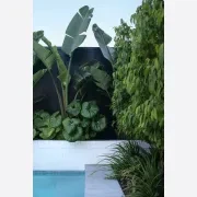 Maddison Tumbled Limestone Pool Coping gallery detail image