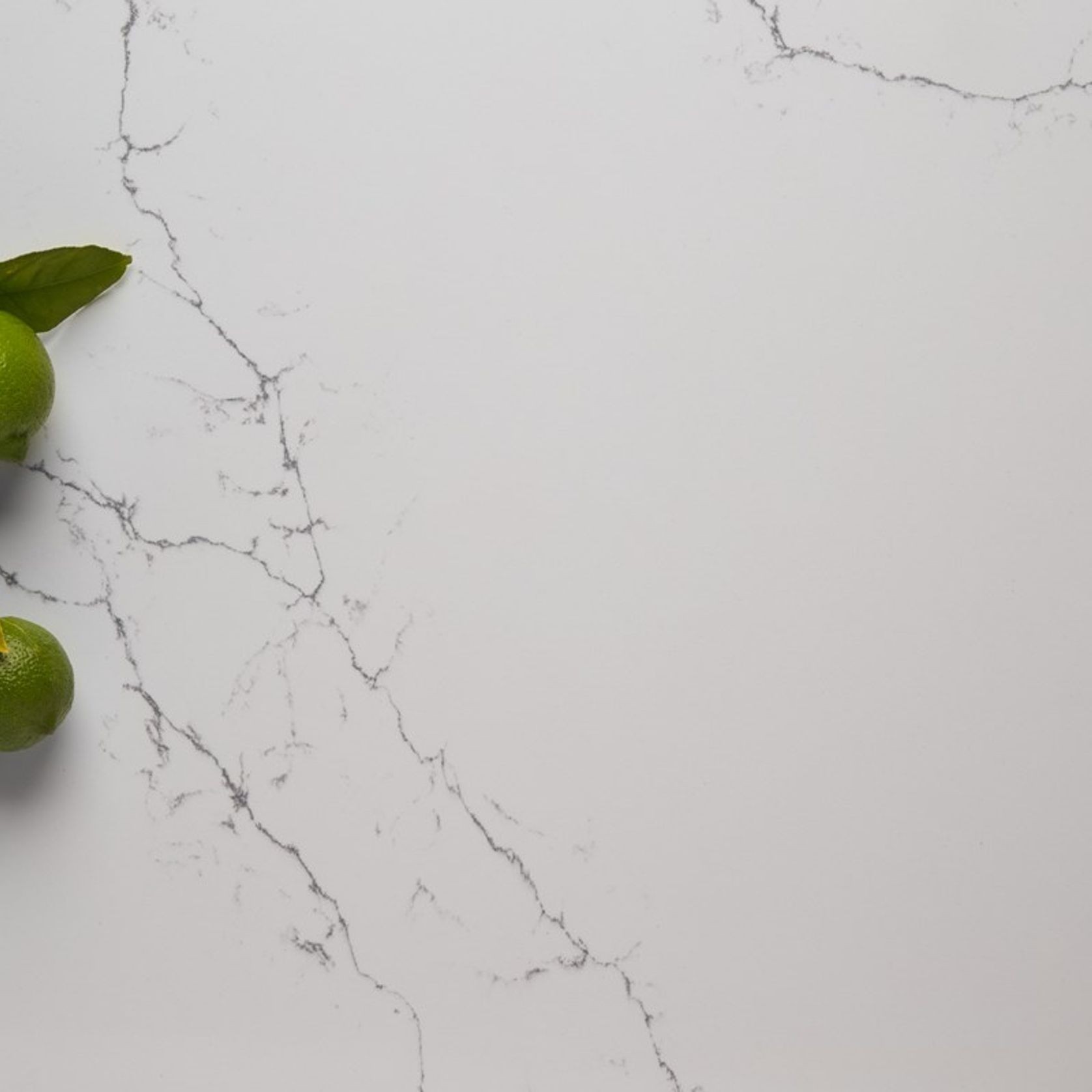 Quantum Zero | Venatino Statuario | Designer gallery detail image