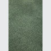 Coral Cut Frosted Mint Green Black Core gallery detail image