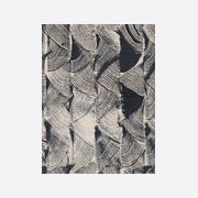 Tassel Fern gallery detail image
