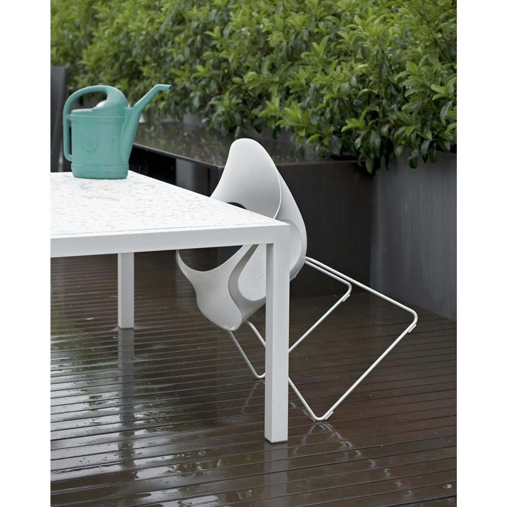 Elephant Slide Dining Chair gallery detail image