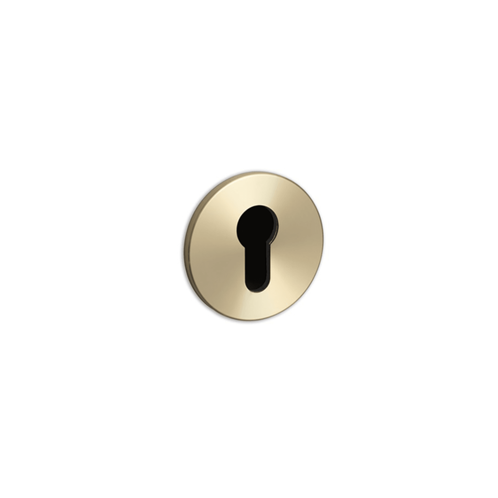 Buster + Punch Euro Escutcheon gallery detail image