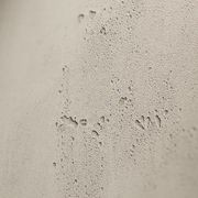 imi plus gallery detail image