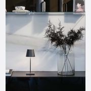 Poldina Mini Table Lamp gallery detail image