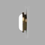 Bode Round Wall/Ceiling Light gallery detail image