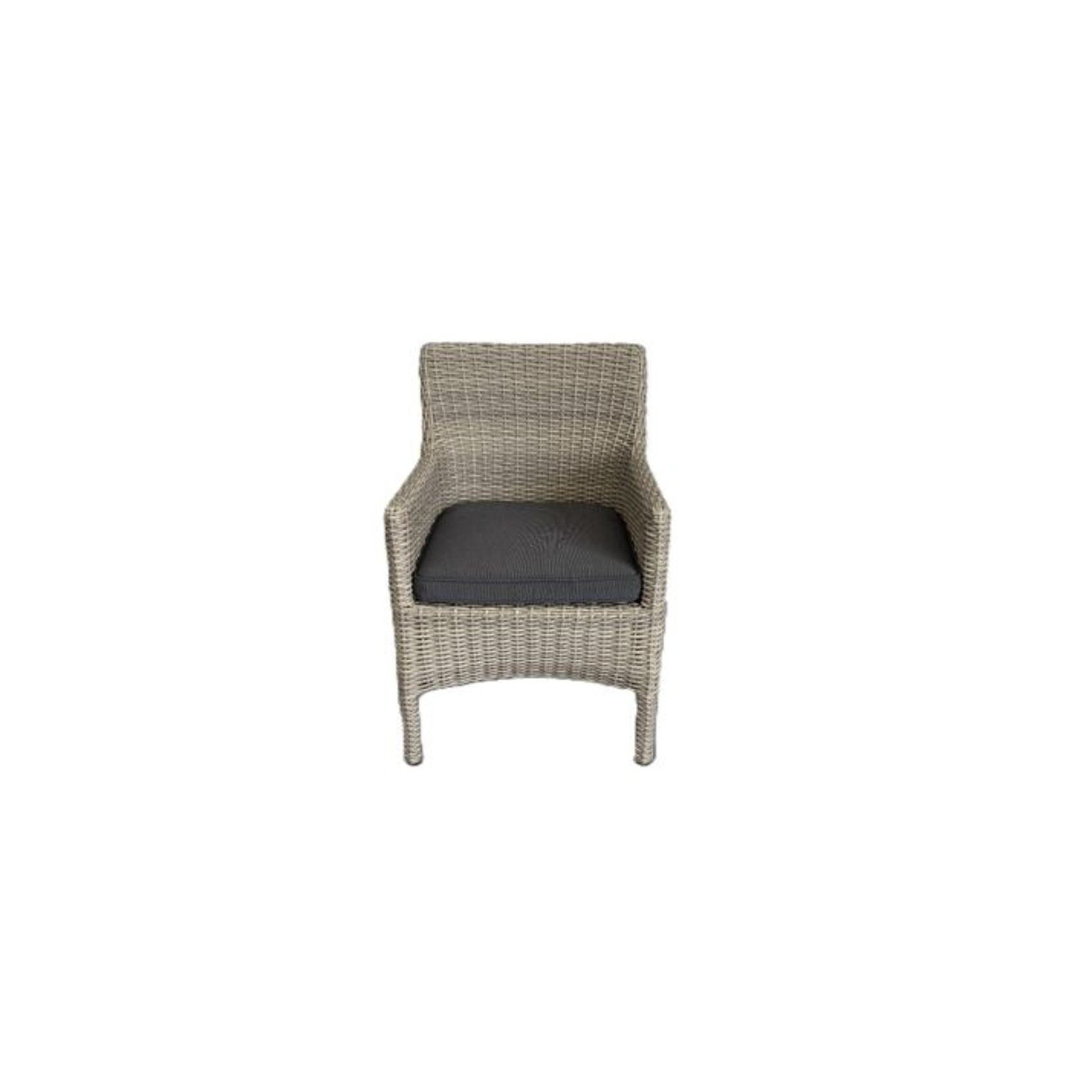 Noosa Rattan Outdoor Dining Chair gallery detail image