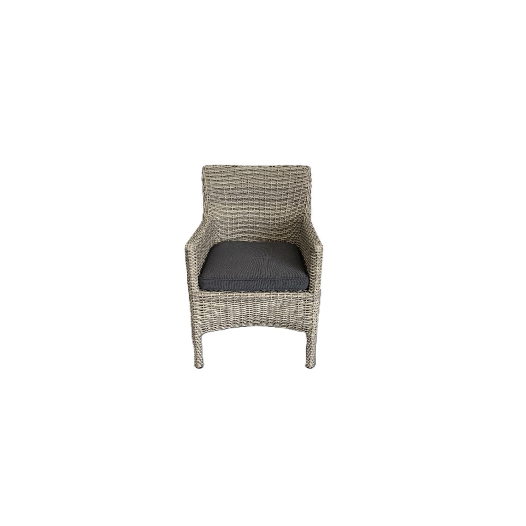 Noosa Rattan Outdoor Dining Chair gallery detail image