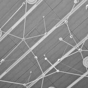 Ramus gallery detail image